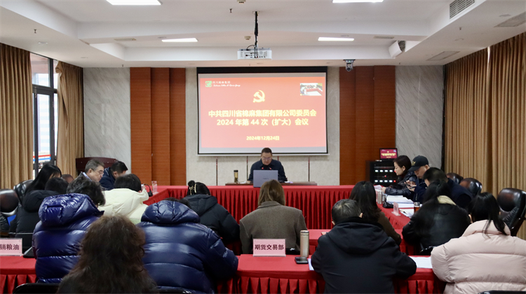 集團(tuán)公司召開2024年第44次黨委（擴大）會議