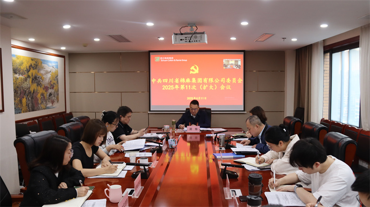集團(tuán)公司召開2025年第11次黨委（擴大）會議