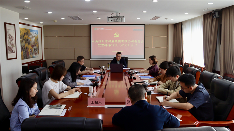 集團(tuán)公司召開2025年第12次黨委（擴大）會議