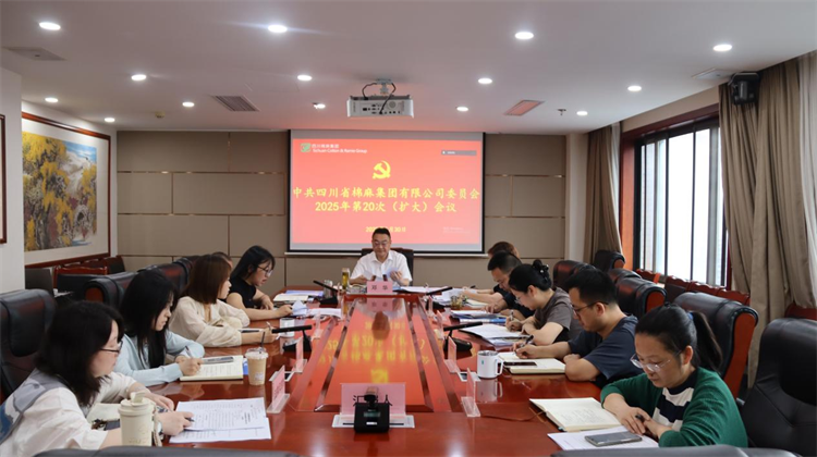 集團(tuán)公司召開2025年第20次黨委（擴(kuò)大）會(huì)議