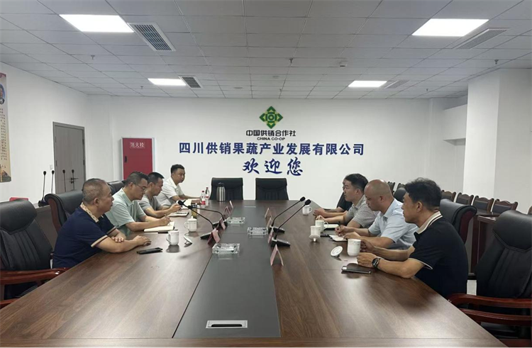集團(tuán)公司調(diào)研資中供銷(xiāo)為農(nóng)產(chǎn)業(yè)園