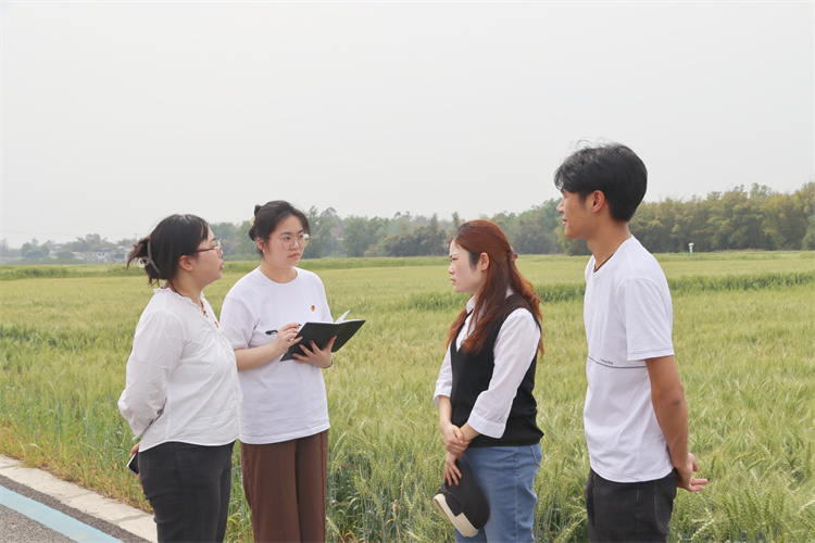 1681547376125887.jpg IMG_4304.JPG